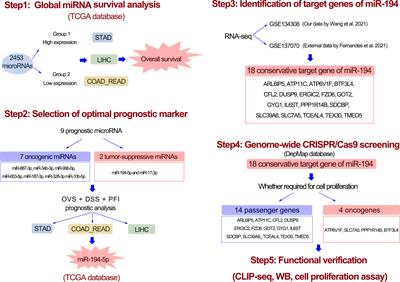 Genome-wide association studies identify miRNA-194 as a prognostic biomarker for gastrointestinal cancer by targeting ATP6V1F, PPP1R14B, BTF3L4 and SLC7A5